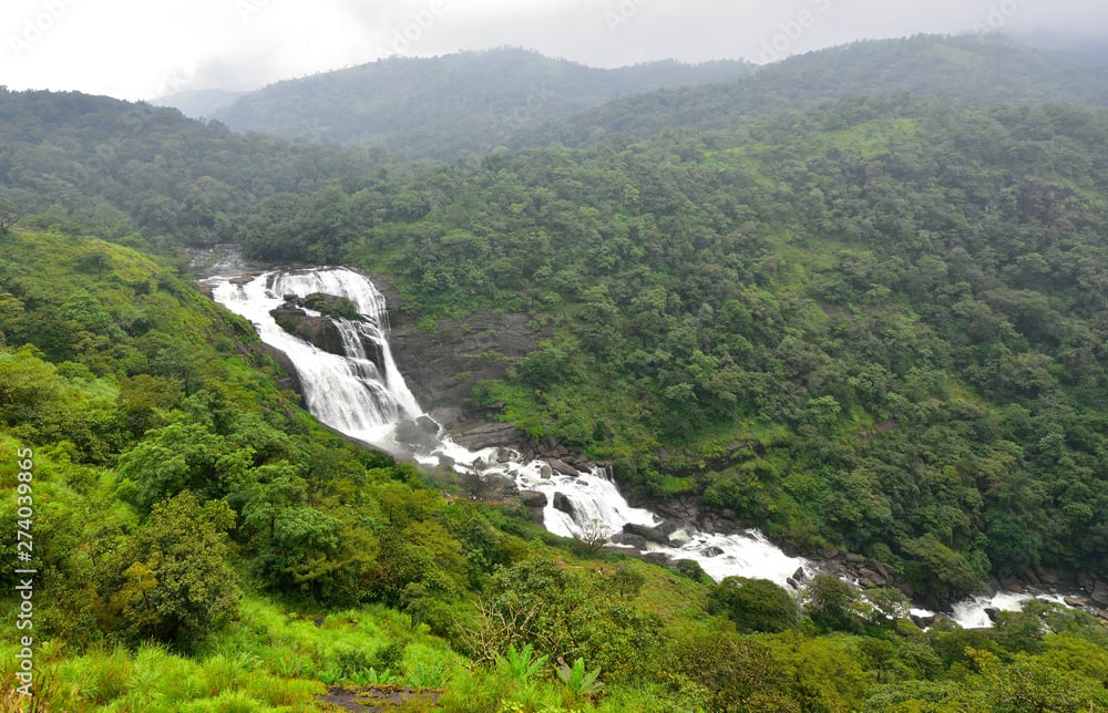 Mallalli Falls Forest View - Waterfall surrounded by dense Western Ghats forest