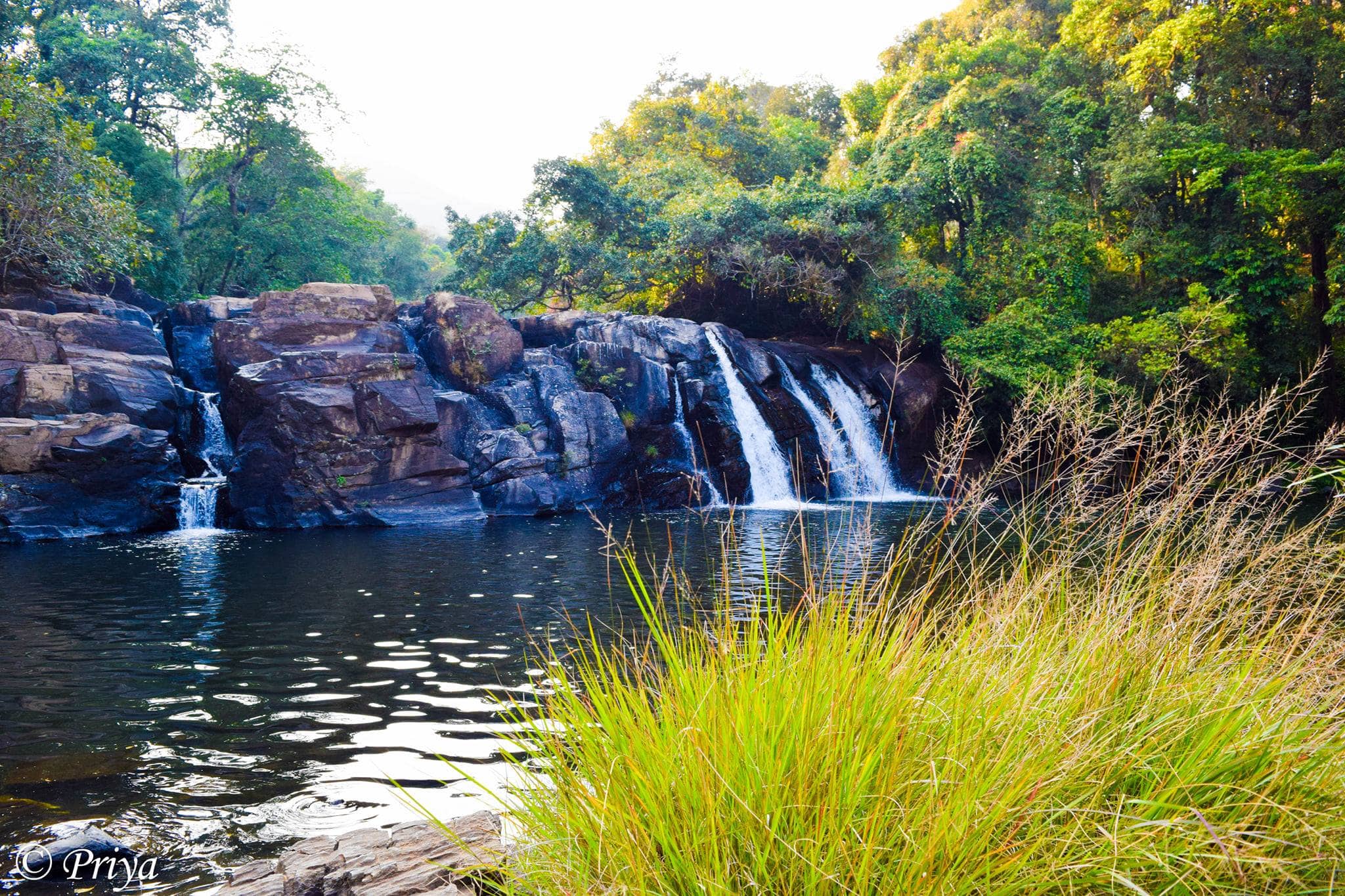 Kote Abbe Falls Forest Trek